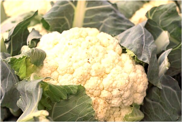 夢見家裡人有小病有什麼意思嗎_周公解夢官網