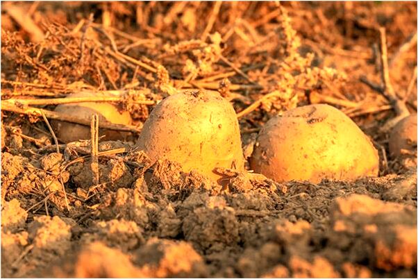 夢見有人說我左手相要離婚好不好_周公解夢官網