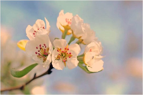 夢見一對情侶在空中飛代表著什麼？_周公解夢官網