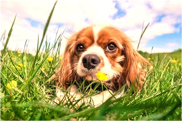 夢見陌生女子有什麼寓意嗎？_周公解夢官網