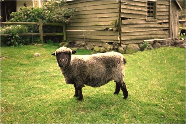 夢到了人財兩空什麼寓意_周公解夢官網