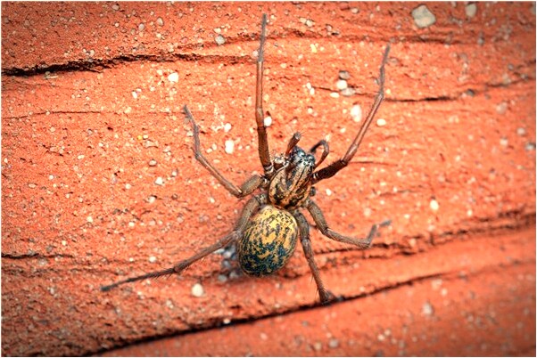 夢見自己選擇一條大路走是好事還是壞事_周公解夢官網