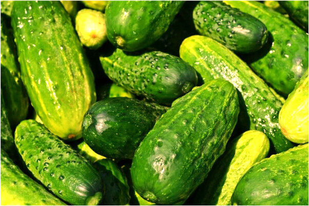 夢見交通違規意味著什麼_周公解夢官網