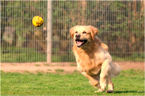 夢到死人的老婆說話預示著什麼_周公解夢官網