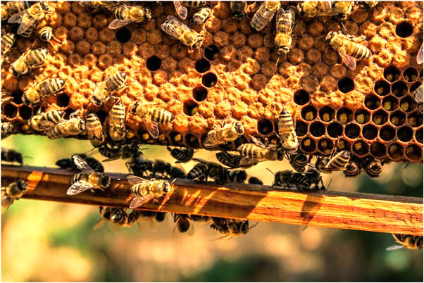 夢到反覆重寫病歷是吉兆嗎?_周公解夢官網