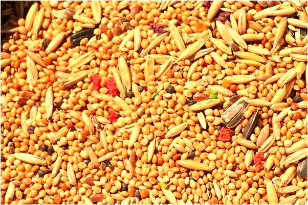 夢見女人穿紅色內褲是好的徵兆嗎_周公解夢官網