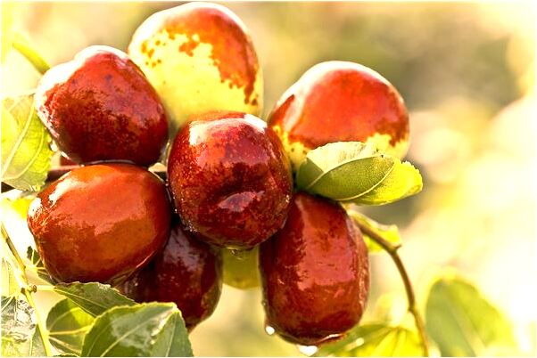 夢到做愛被發現怎么回事_周公解夢官網