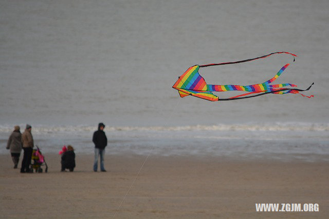 夢見在別人家拉屎_周公解夢夢到在別人家拉屎是什麼意思_做夢夢見在別人家拉屎好不好_周公解夢官網