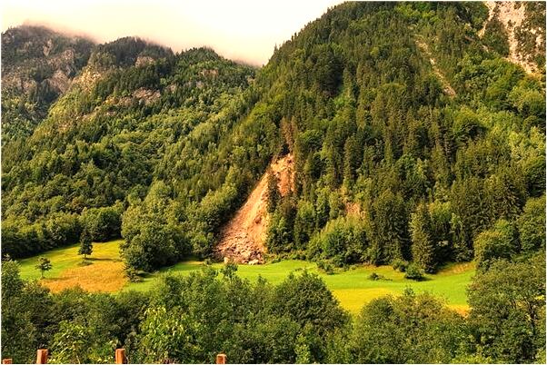 夢到在別人家洗手有什麼寓意嗎_周公解夢官網