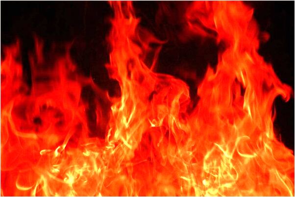 夢到父親撿金子有什麼意義嗎_周公解夢官網