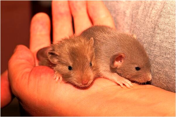 夢到了發新衣服新鞋是什麼啟示_周公解夢官網