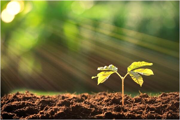 夢到了我媽在深溝里趴不起來代表著什麼_周公解夢官網