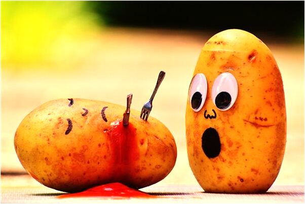 夢到打走黑狐狸是什麼預兆_周公解夢官網