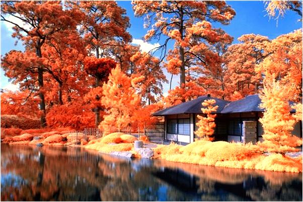 夢到了好多人一起誦經是什麼兆頭_周公解夢官網