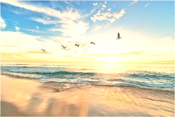 夢到撿垃圾檢到肉是什麼意思_周公解夢官網