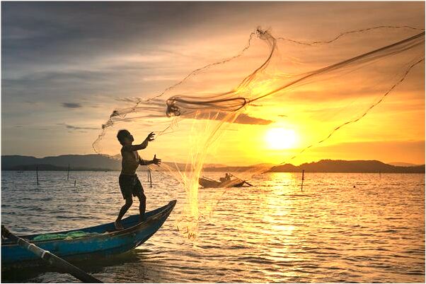 夢到茂盛的古藤是好是壞_周公解夢官網