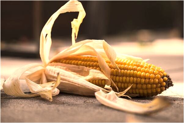 夢到了自己與情人買房子怎么回事_周公解夢官網