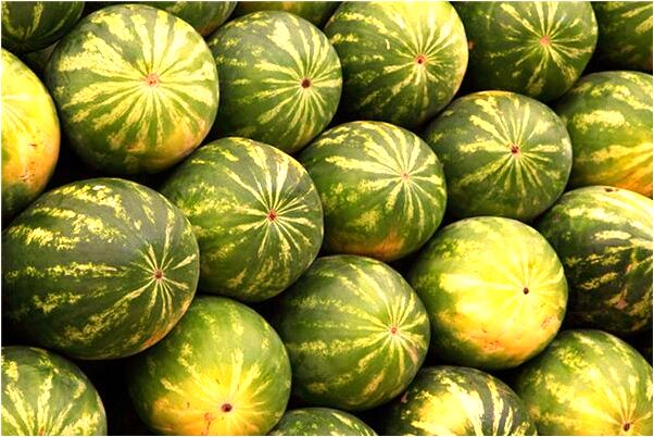 夢見要洗澡沒洗怎么樣_周公解夢官網