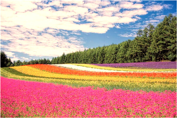 夢到了行山路是不是好的徵兆呢_周公解夢官網