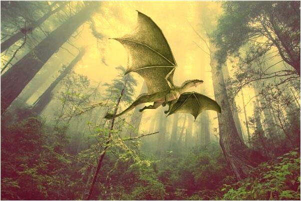 夢見自己被別人追打是好是壞_周公解夢官網