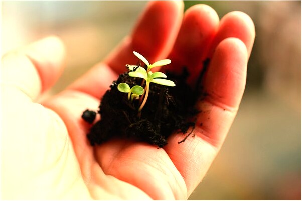 夢到走黑路被鬼追是什麼啟示_周公解夢官網