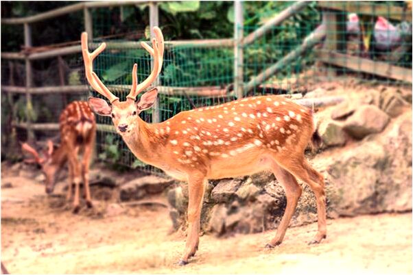 夢到水庫里很多人游泳預示什麼_周公解夢官網