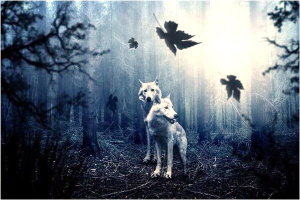 夢到陌生人進入家中吃飯會是什麼預兆_周公解夢官網