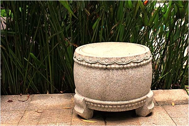 夢見雪白的大狗會是什麼預兆_周公解夢官網