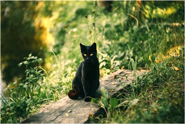 夢到大型充氣娃娃有什麼預兆_周公解夢官網