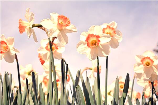 夢到破處流血後來列假的預兆_周公解夢官網