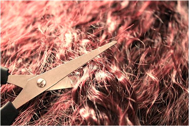 夢到侄女被蛇咬怎么說_周公解夢官網