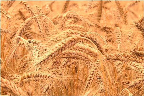 夢見老公變成以前的同學是什麼預兆_周公解夢官網