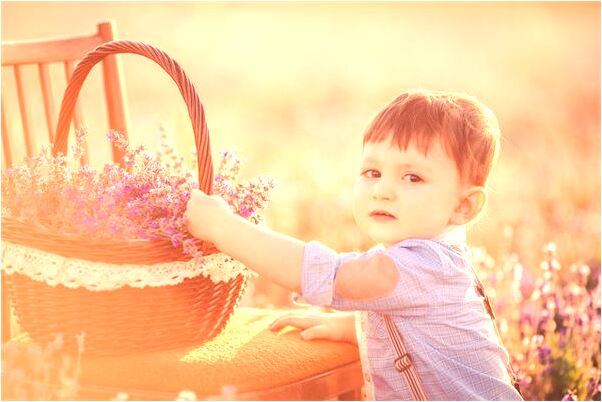 夢到了開別人的車肇事是怎么回事_周公解夢官網