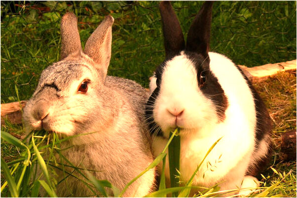 夢見到處都是內褲預示著什麼_周公解夢官網