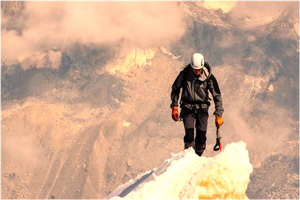 夢見把蛇小蛇頭剁掉了有什麼預兆_周公解夢官網