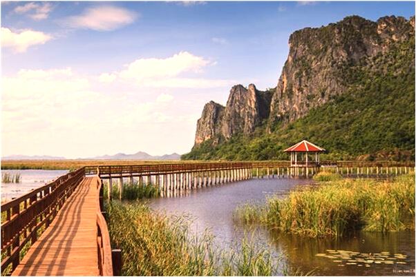 夢見獅子撲人有什麼預示嗎_周公解夢官網