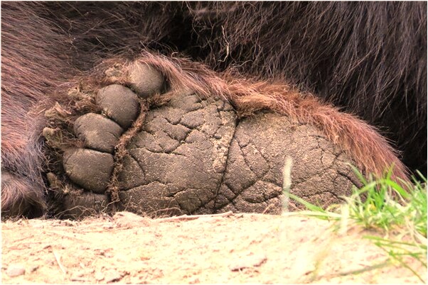 夢到想甩男朋友會是什麼預兆_周公解夢官網