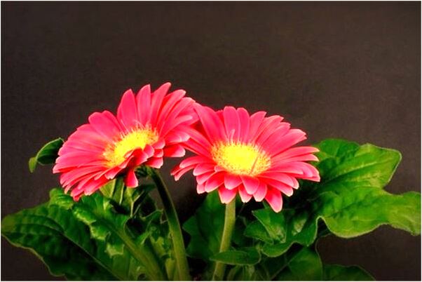 夢到了在沒有見過的高樓裡面是咋回事_周公解夢官網