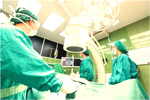 夢到了池塘里有很多烏龜是不是好的徵兆呢_周公解夢官網