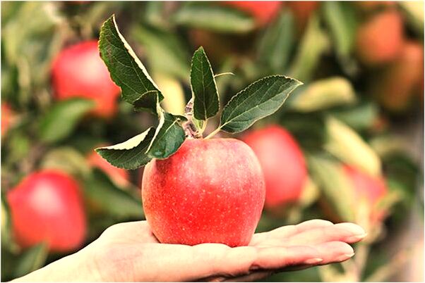 夢見選佛個選觀音自己選佛有什麼含義_周公解夢官網