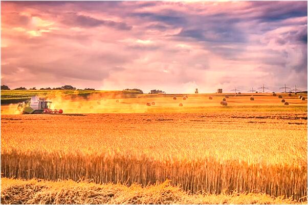 夢到一個小孩哭我哄他不要哭是好的徵兆嗎_周公解夢官網