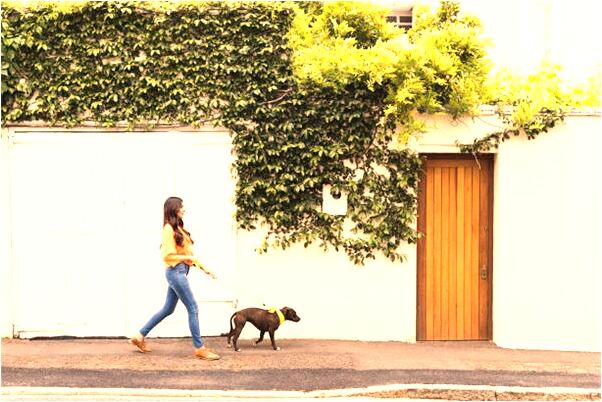 夢到了很多耳屎會有什麼預兆_周公解夢官網