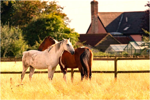 夢見男朋友出軌扇他耳光意味著什麼_周公解夢官網