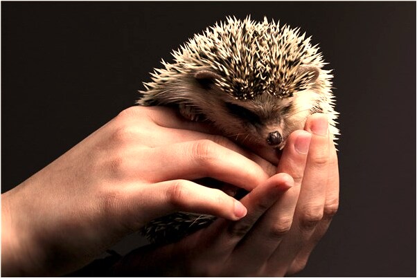 夢到夢裡很孤獨是什麼意思_周公解夢官網