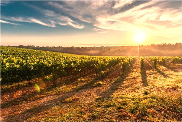 夢到女人送粉色裙子我沒要意味著什麼_周公解夢官網