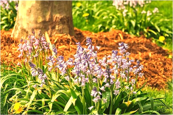 夢到了刷牙然後看見很多熟人有什麼寓意嗎_周公解夢官網