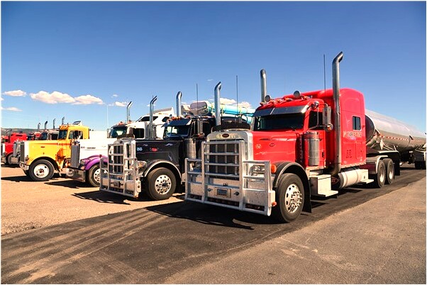 夢到了綠孔雀在天上飛會怎么樣_周公解夢官網