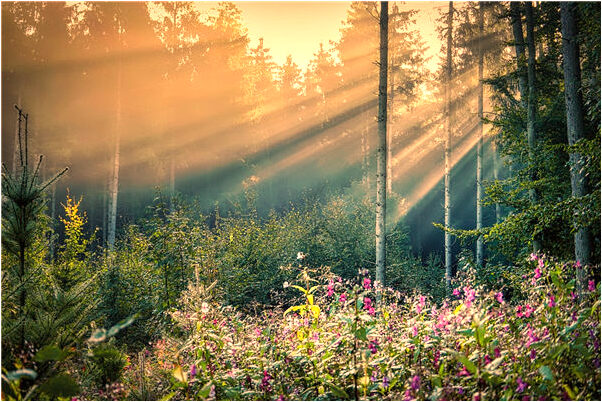 夢見衣服摔破了怎么說_周公解夢官網