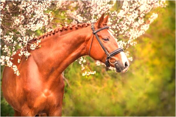 夢見初戀情人抱著自己怎么樣_周公解夢官網