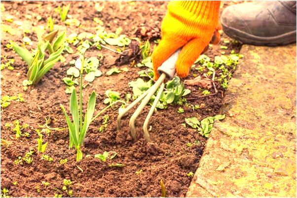 夢到了死去的爸爸但什麼也是吉兆嗎?_周公解夢官網